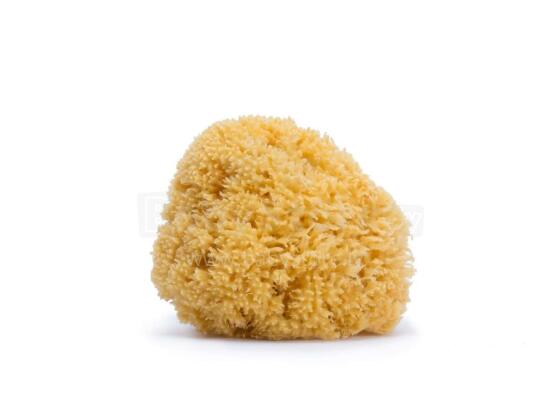 Suavinex Sponge Art.257282 Natūrali jūros kempinė