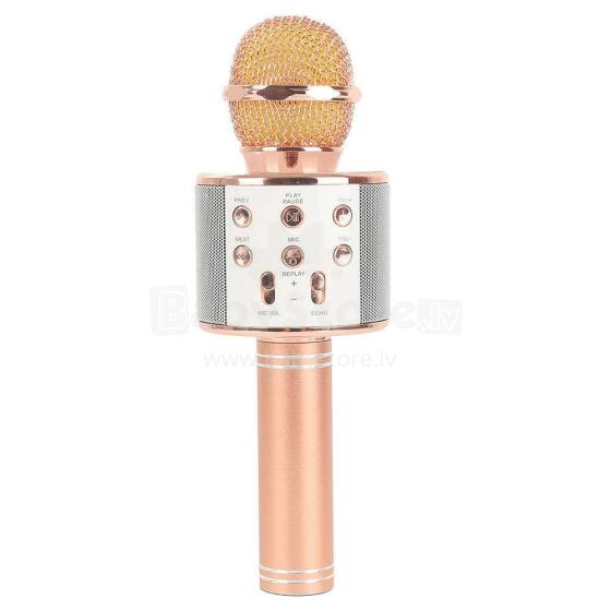 TLC Baby Microfone Art.WS-858 karaoke mikrofonas - garsiakalbis su balso keitimo efektais