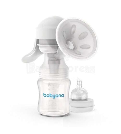 Babyono  Anatomy Art.301 Laktatoriai