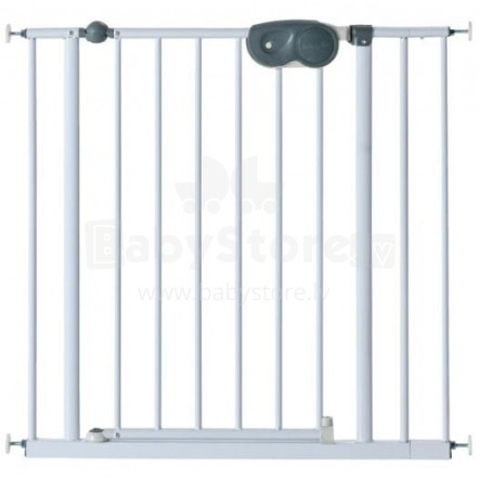 Pirmieji saugos vartai