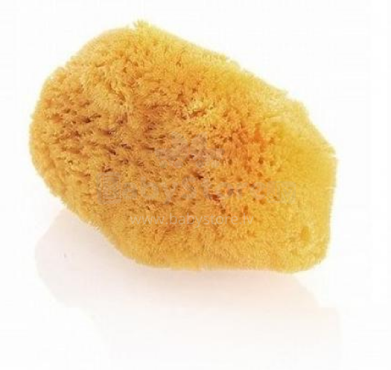 Reer 510 Sponge Medium (jūrinis natūralus)
