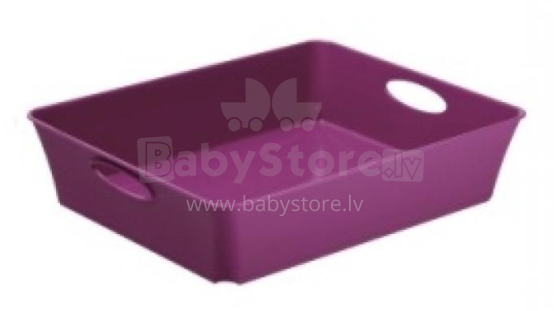 Rotho Living C5 Art.250009 Sand container, violet 26.4x21.2x6cm