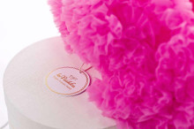 LaVashka Luxury Skirt  Flamingo Art.18 Super kuplie svārciņi princesēm (Dāvanu kastītē)