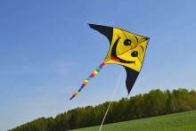 I-Toys Kite Art.A-0253 Lidojošais gaisa pūķis,1gab