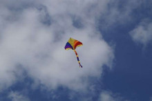 Hall Air Kite Art.111386 Lidojošais gaisa pūķis