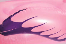 Bestway Flamingo  Art.32-41122