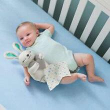 Vasaros kūdikių „Litle Heartbeats Rabbits“ 6746 žaislas