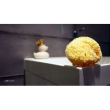 Lullalove  Nat. Sea Sponge Art.118973 Губка натуральная морская детская