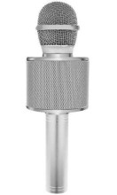 TLC Baby Microfone Art.WS-858 Sudrabs