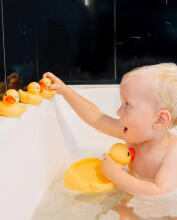 „PLAYGRO Bath Ducks“, 0187479