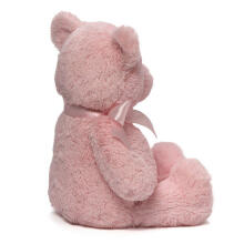Gund My First Teddy Art.6048627