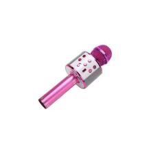 TLC Baby Microfone Art.WS-858 karaoke mikrofonas - garsiakalbis su balso keitimo efektais