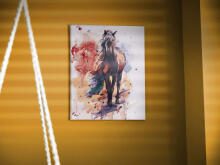 Ikonka Art.KX5549 Paveikslas pagal numerius 40x50cm arklys