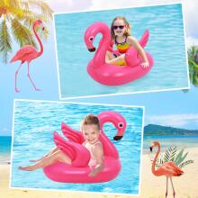 Kidsworld Flamigo Pool Art.148448 Pripučiamas vaikiškas pontono ratas flamingo