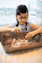 4M craft kit Dig a Pteranodon skeleton
