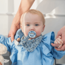 Bibs x Liberty Pacifier Clip Art.152356 Capel Fossil Grey