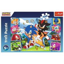 TREFL SONIC Dėlionė „Sonic“, 100 det.
