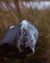 Makaszka Waterproof Muff Art.155240