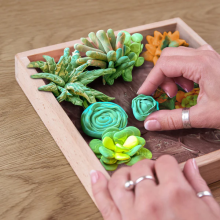 Wood&Craft DIY Succulents Energy Art.ETC10009