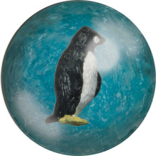 Kamuoliukas su pingvinu