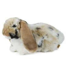 Living Nature Dutch Lop Eared Rabbit Art.AN316B Brown Мягкая игрушка