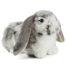 Keycraft Living Nature Dutch Lop Eared Rabbit Art.AN316G Grey Pliušinis žaislas