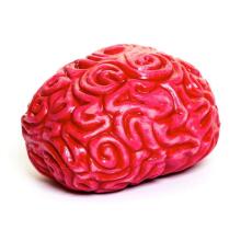 Keycraft Squidgy Brain Art.NV459  Antistresinis žaislas