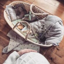 Ahojbaby Moses Art.16557 straipsnis. Modernus nešiojamas lopšys
