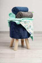 Light Minky Blanket – birds retro pink