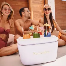 Polarbox Cool Box Retro Cooler Art.210773 Lilac - Yellow Camping Refrigerator 20L