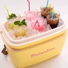 Polarbox Cool Box Retro Cooler Art.210774  Nude – Olive Green Camping Refrigerator 12L