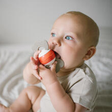 BabyOno Rattle Teething Toy Art.1587 Muzikinis barškutis