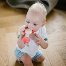 BabyOno Rattle Teething Toy Art.1590 Muzikinis barškutis