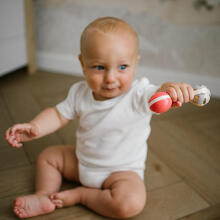 BabyOno Rattle Teething Toy Art.1592 Muzikinis barškutis