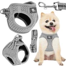 Pressure-free dog and cat harness set Springos PA0235, XS up to 5.5 kg + 150 cm leash, grey