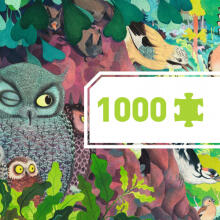 Puzzles Gallery - Owls and birds - 1000 pcs