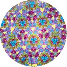 Svoora - Besisukantis kaleidoskopas - Pelėda