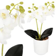 Dirbtinė orchidėja Springos HA7423
