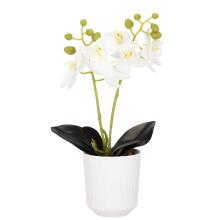 Dirbtinė orchidėja Springos HA7423