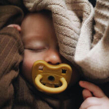 Hevea Natural Rubber Pacifier Anatomical Art.239439 Avocado/Apricot Anatominis / ortopedinis latekso jaukas 3-36 mėn