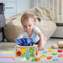 Focenat Montessori Wooden Toy 9-in-1 Art.241410  Montessori medinė dėlionė