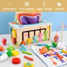 Focenat Montessori Wooden Toy 9-in-1 Art.241410  Montessori medinė dėlionė
