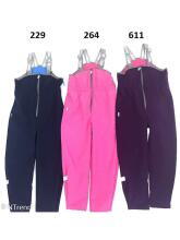 Lenne'18 Art.18251/229 Shell