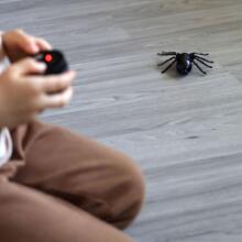 WOOPIE Spider Interactive nuotolinio valdymo žaidimas