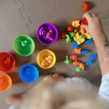 WOOPIE Montessori edukacinis žaidimas spalvų rūšiuotojas dinozaurai 56 vnt.