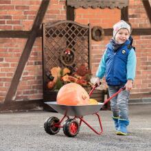 Vaikiškas sodo karutis Rolly Toys Dviratis metalinis