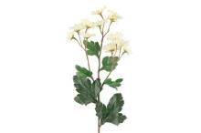 4Living chrizantemos purškiklis 61 cm asortimentas