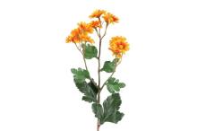 4Living chrizantemos purškiklis 61 cm asortimentas