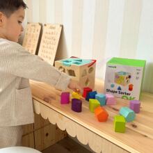 TOOKY TOY Medinis formų rūšiuotojas spalvingas kubas su spalvingais raštais 13 vnt.