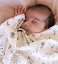 Aden Anais Muslin Swaddles Art.251314 Expedition High quality bamboo muslin swaddle, 1 pc. (120x120 cm)